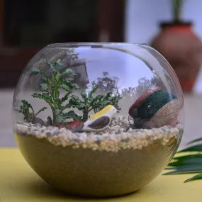 Bird and the Pitcher Terrarium Kit