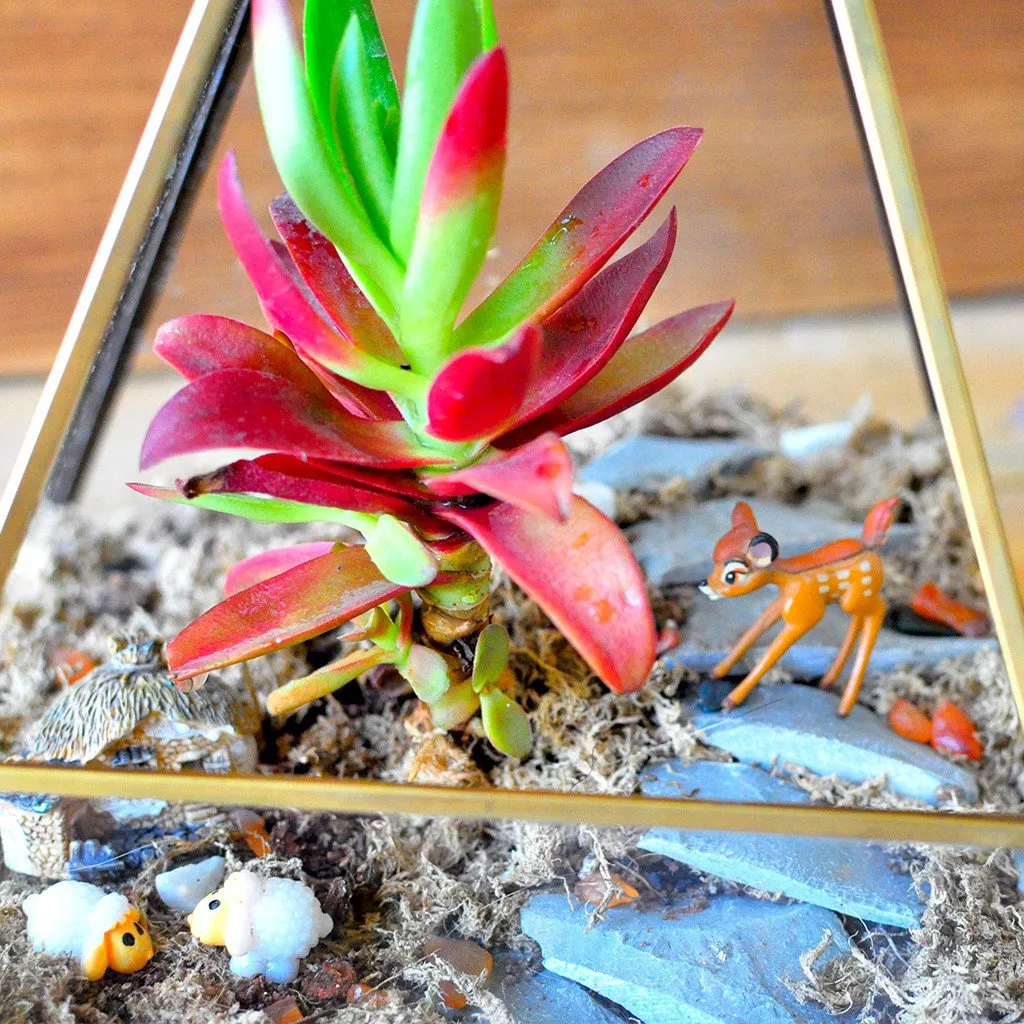 Fire On a Hill Terrarium DIY Kit