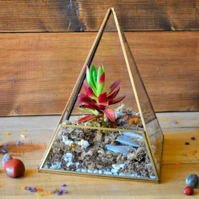 Fire On a Hill Terrarium DIY Kit