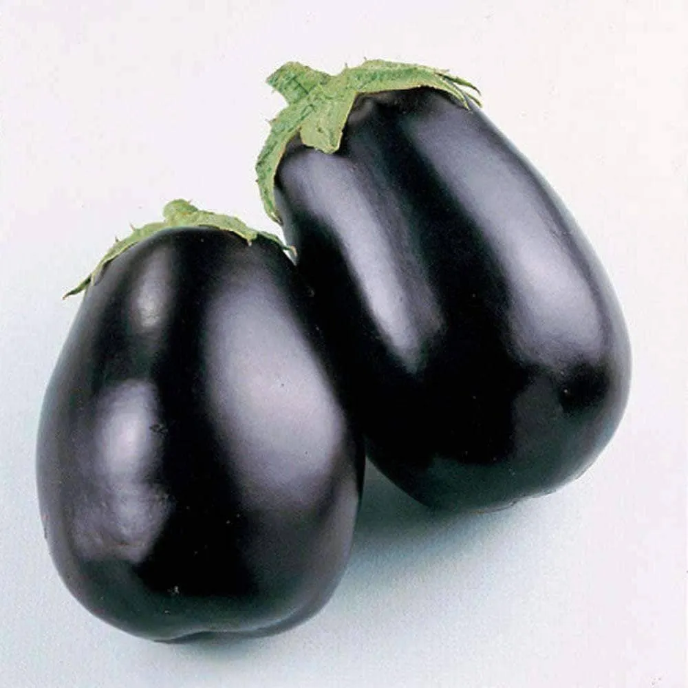 Heirloom Black Beauty Eggplant Seeds (.5g) by Patriot Seeds