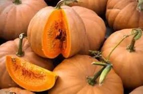 Heirloom Organic Texas Indian Pumpkin Seeds Aka Moschata Winter Squash