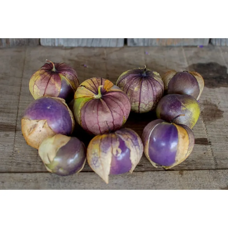 Purple Tomatillo (Heirloom, 100 Days)