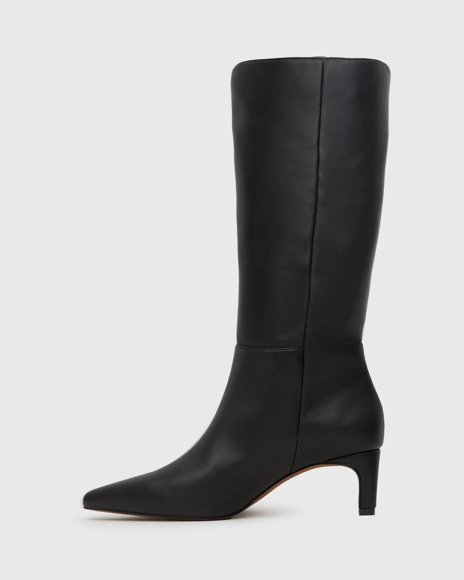 ZIA Pull on Pointed Toe Boots